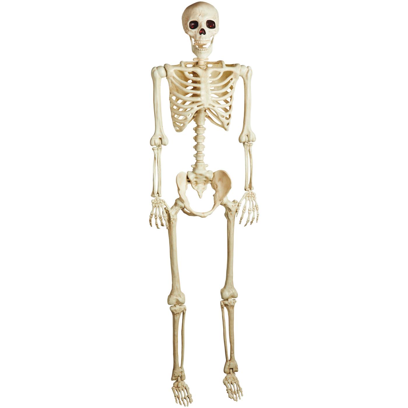 Destination Holiday Halloween Light Up Lifesize Posable Skeleton - Shop ...