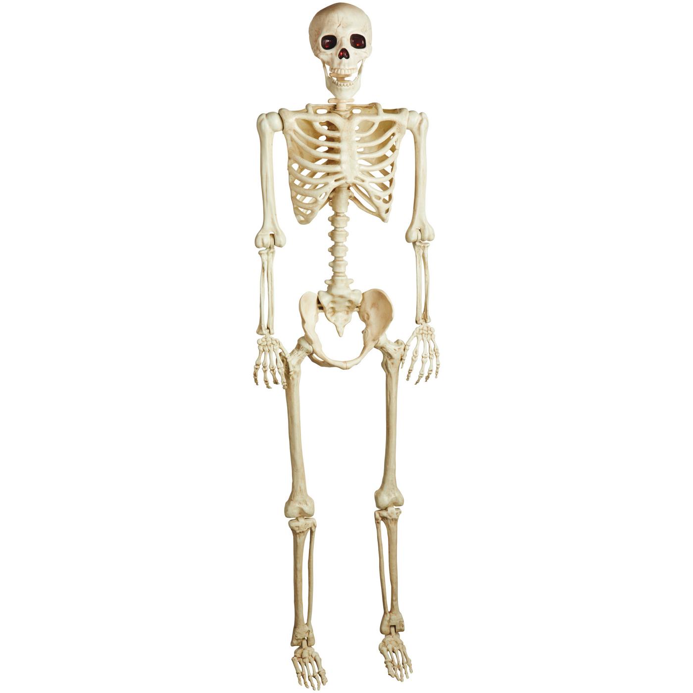 Destination Holiday Halloween Light Up Lifesize Posable Skeleton; image 1 of 5