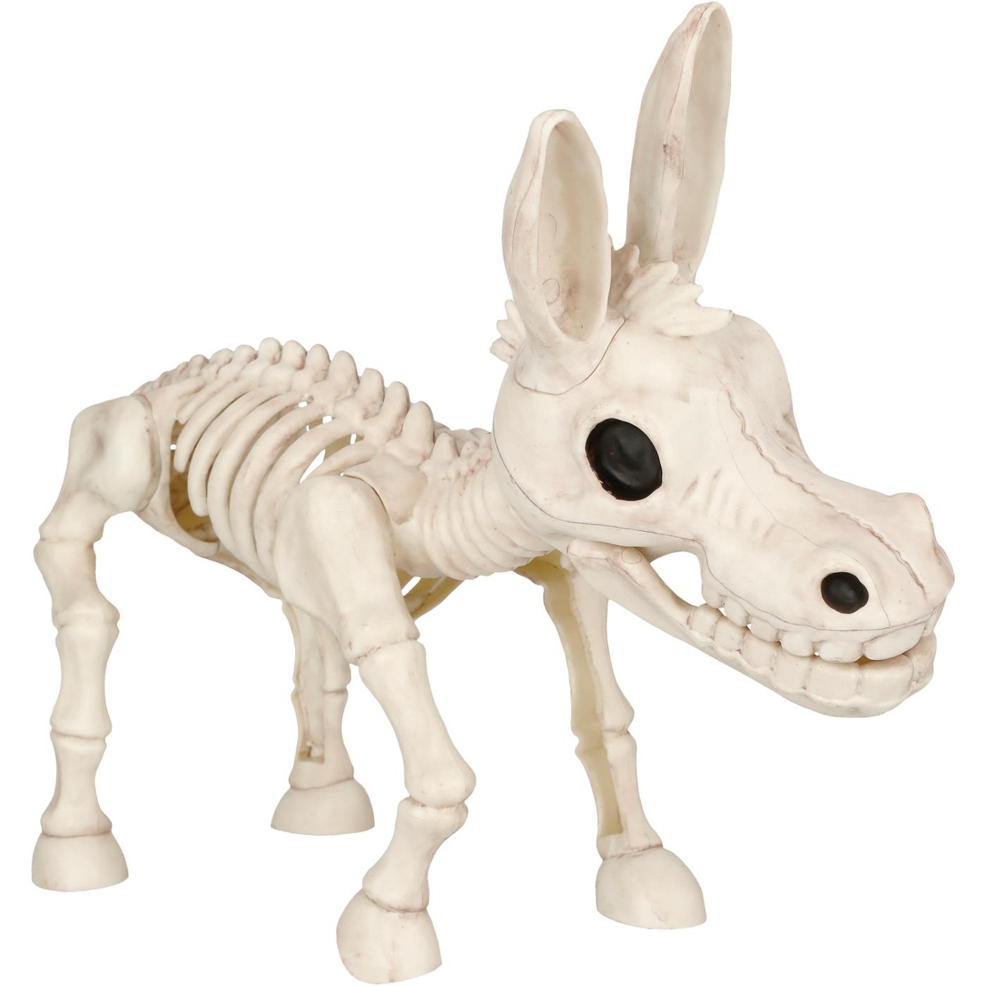 Destination Holiday Halloween Donkey Skeleton; image 1 of 4