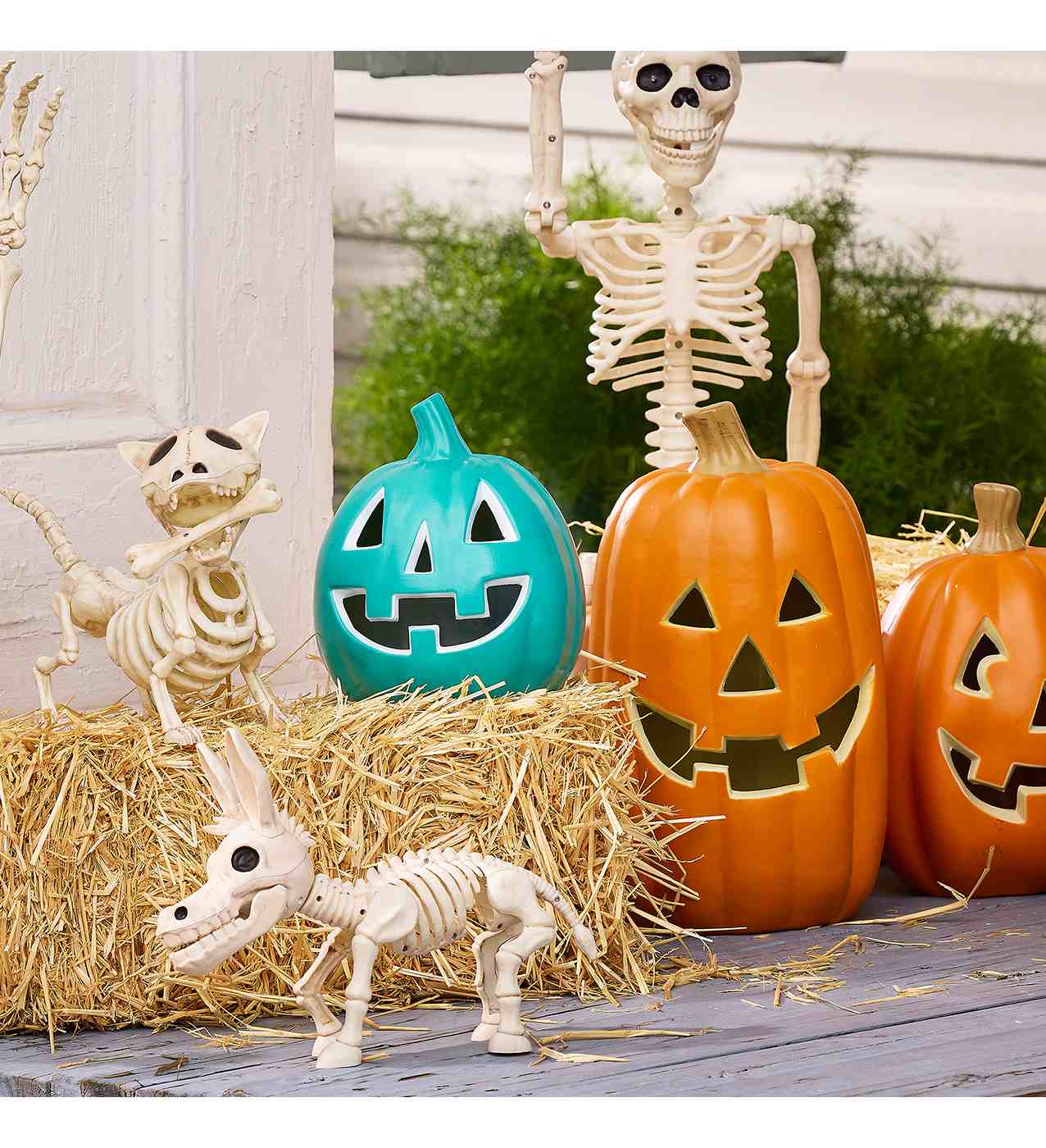Destination Holiday Donkey Halloween Skeleton - Shop Seasonal decor at ...