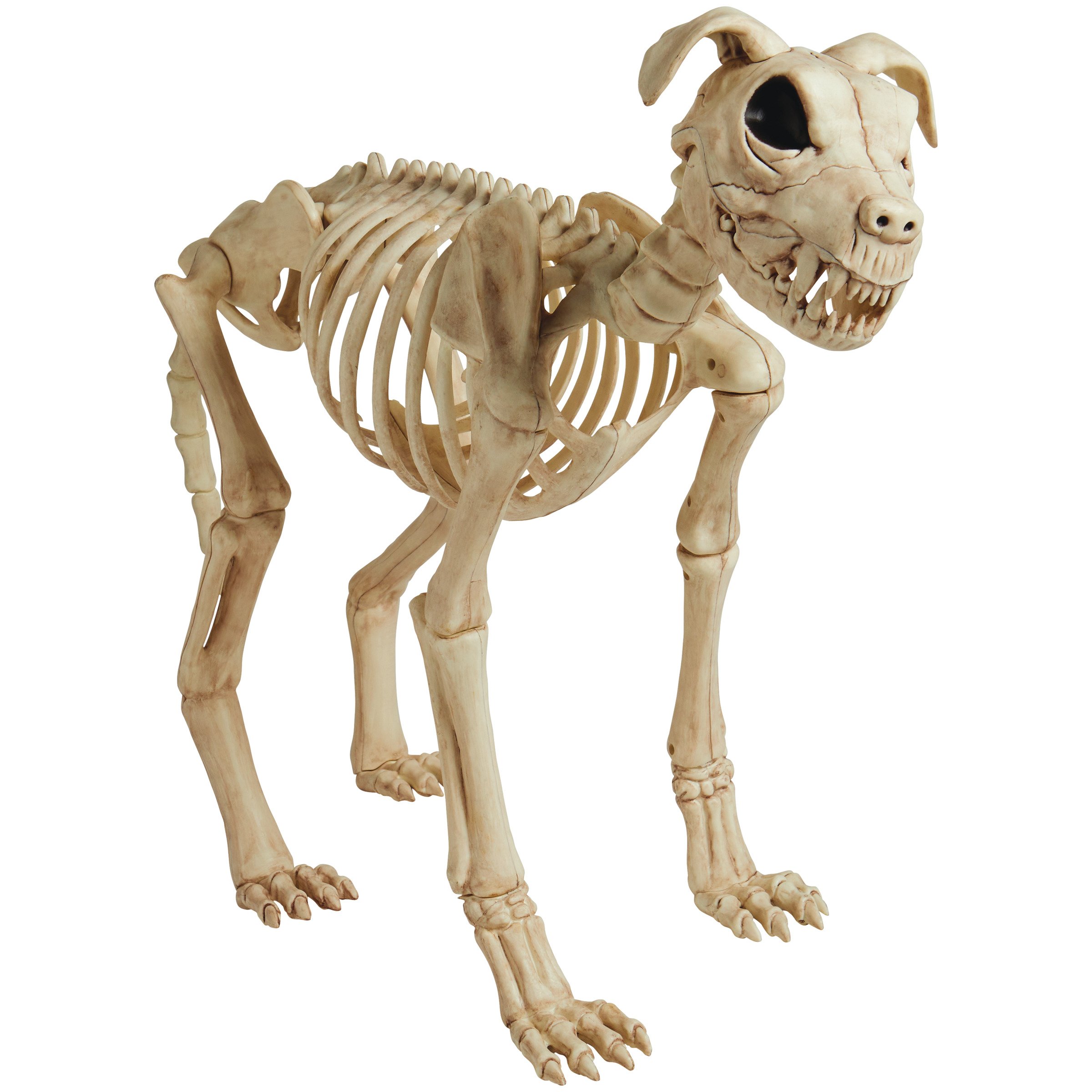 Destination Holiday Halloween Buster Bonez Skeleton - Shop Seasonal ...