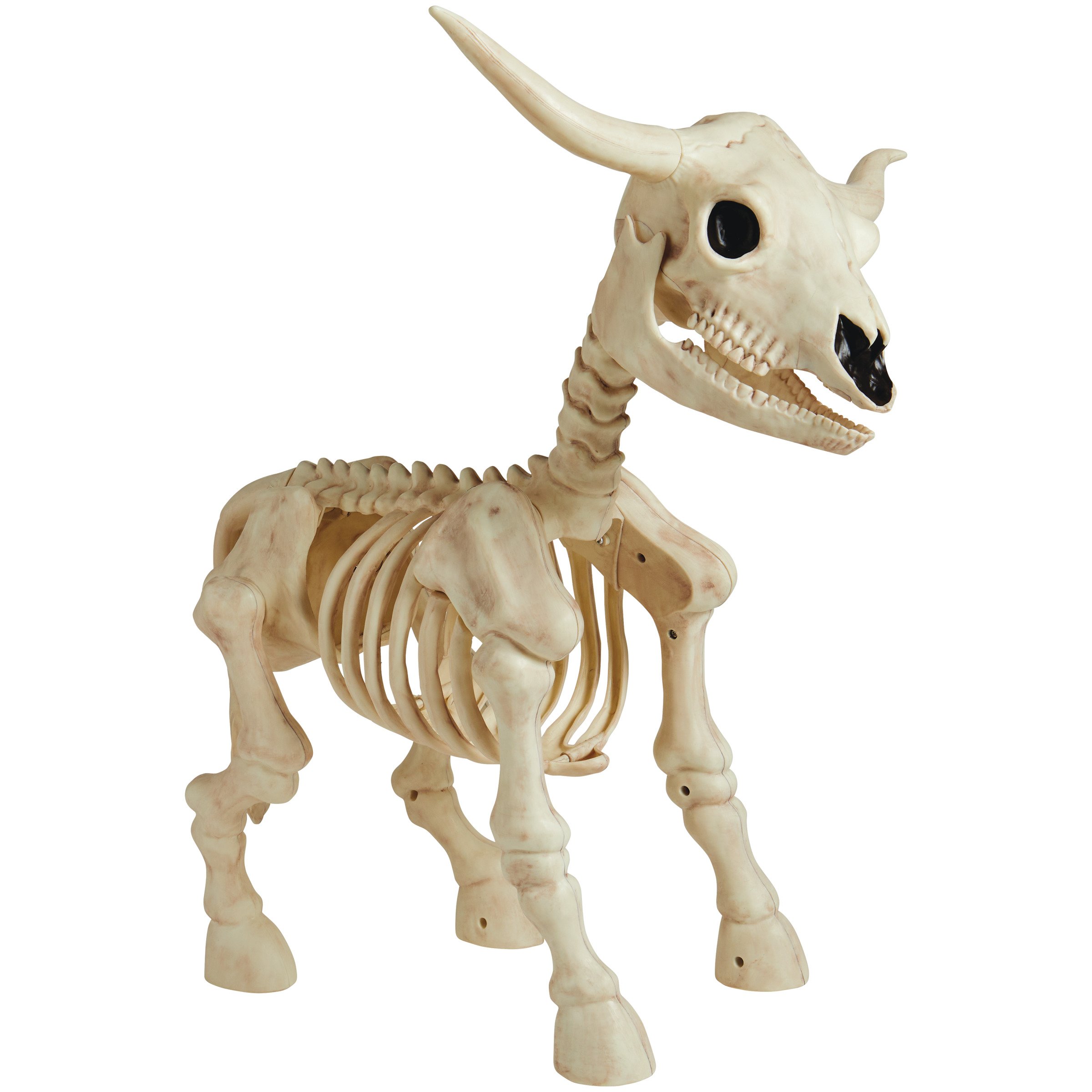 Destination Holiday Halloween Longhorn Skeleton - Shop Party decor at H-E-B