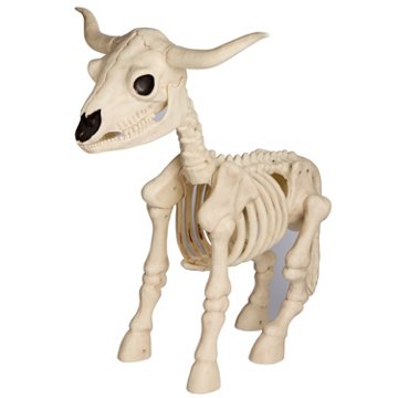 Destination Holiday Longhorn Halloween Skeleton