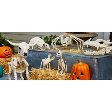 Destination Holiday Longhorn Halloween Skeleton