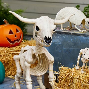 Destination Holiday Longhorn Halloween Skeleton