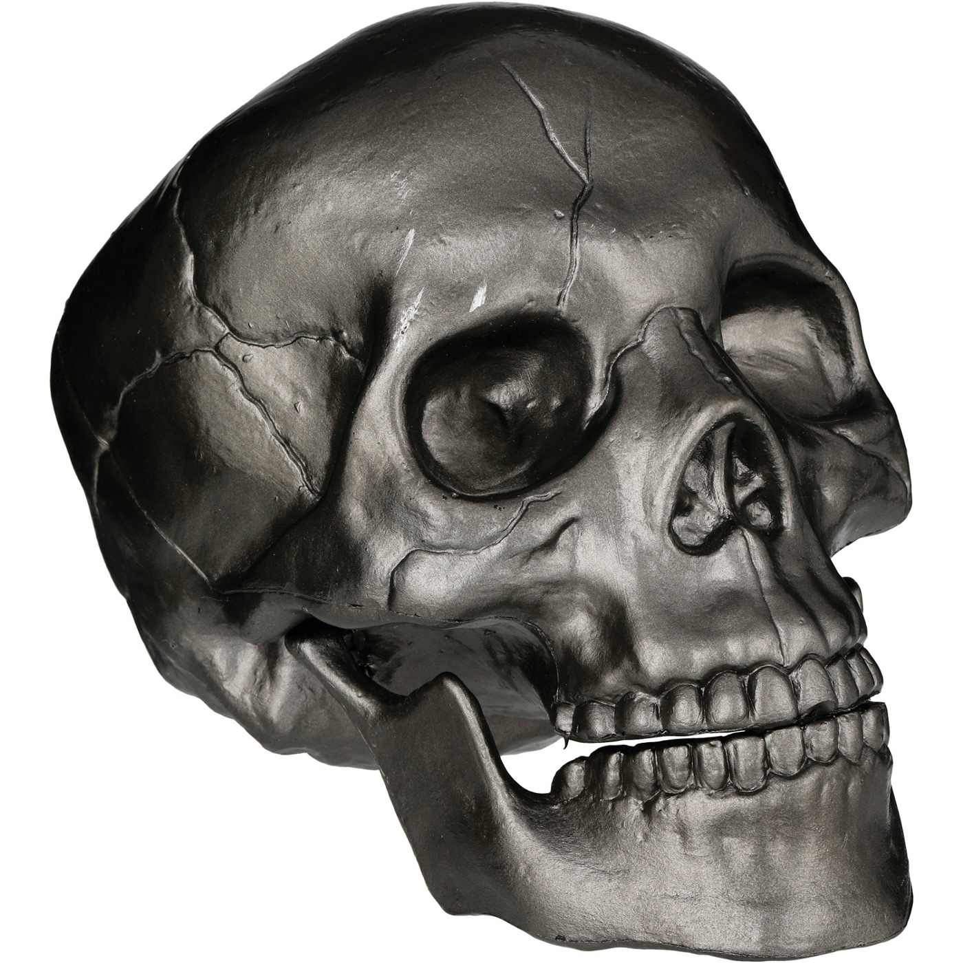 Destination Holiday Halloween Skeleton Skull - Slate; image 1 of 2