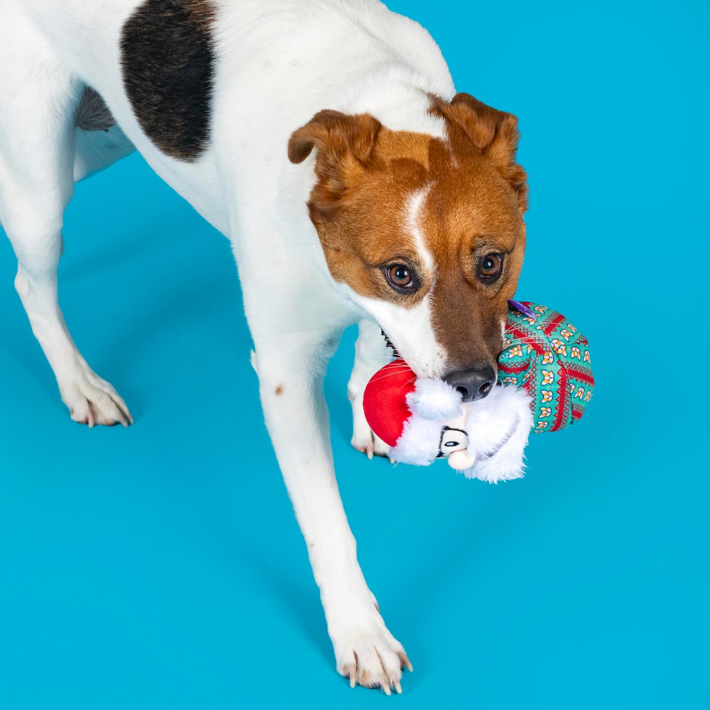 Woof & Whiskers Sweater Santa; image 4 of 5