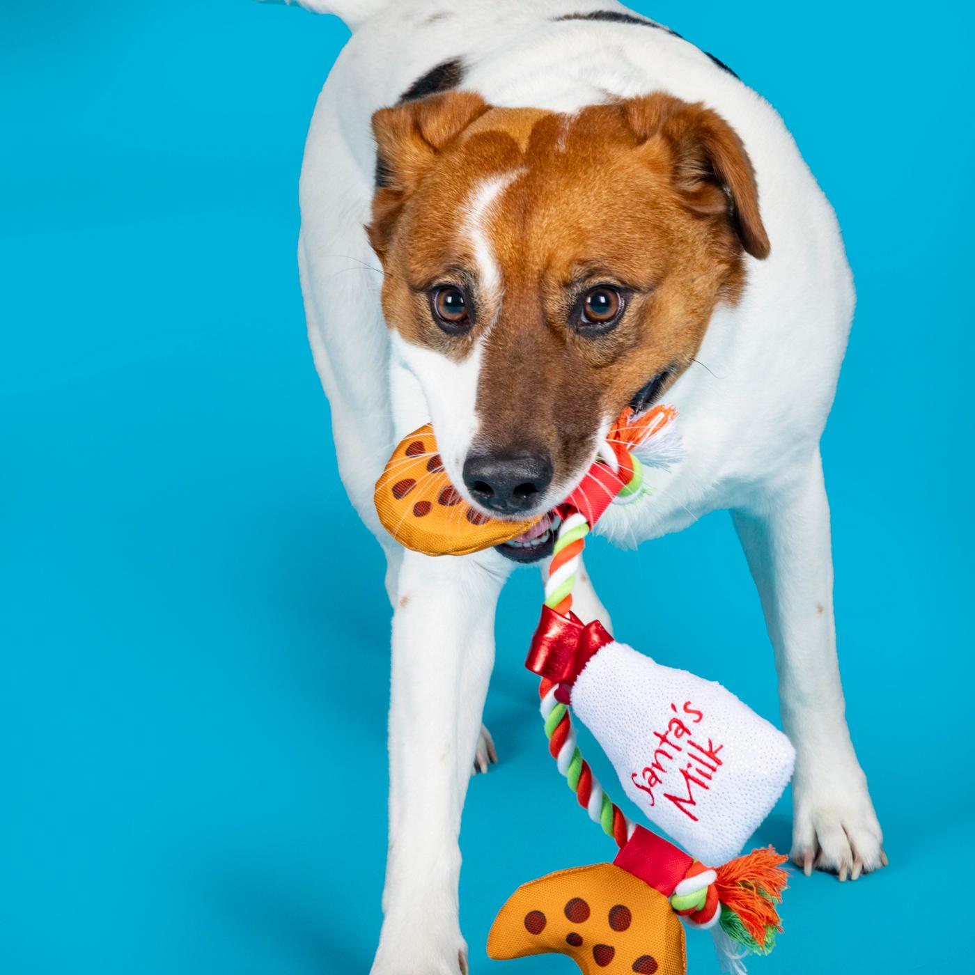 Woof & Whiskers Cookies & Milk on Rope; image 3 of 5