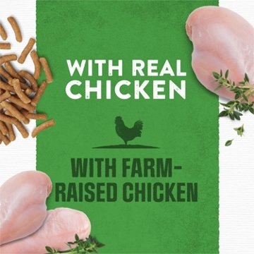Moist & Meaty Purina Soft Dog Food Pouches - Real Chicken Recipe