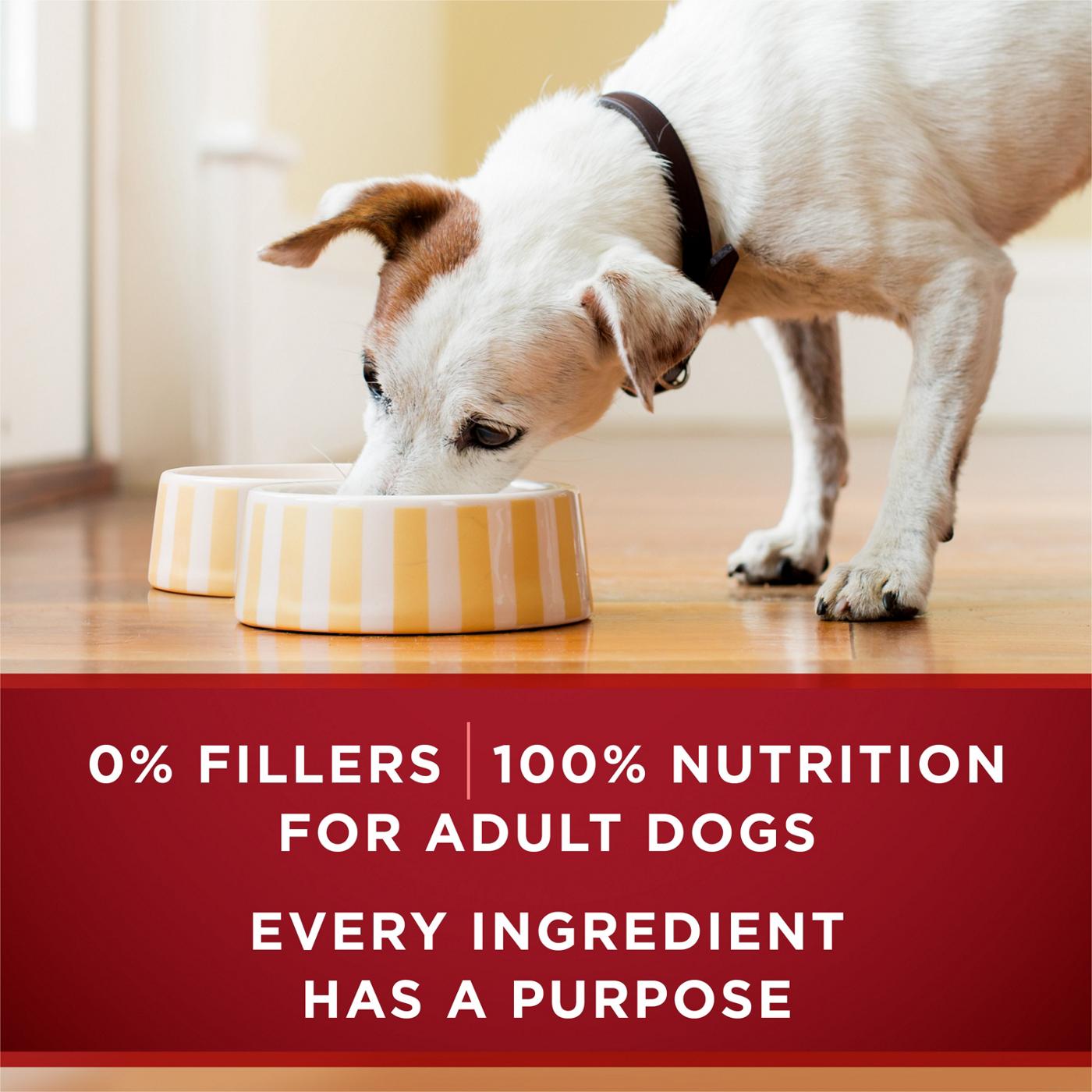 Purina ONE True Instinct Tender Cuts In Gravy Wet Dog Food Variety Pack; image 3 of 8