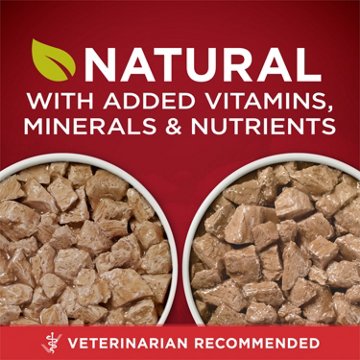 Purina ONE True Instinct Tender Cuts in Gravy High Protein Wet Dog Food Variety Pack - Real Turkey and Venison, and With Real Chicken and Duck