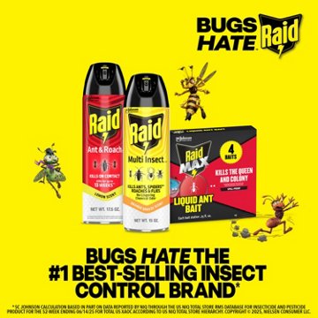 Raid Multi Insect Killer 7 - Orange Breeze