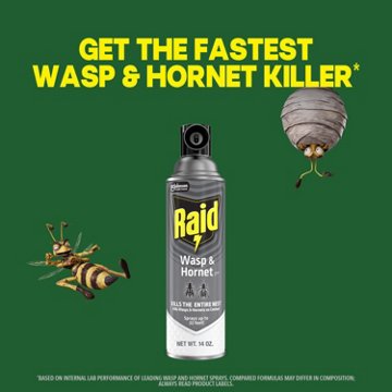 Raid Wasp & Hornet Killer 33, 2 pk