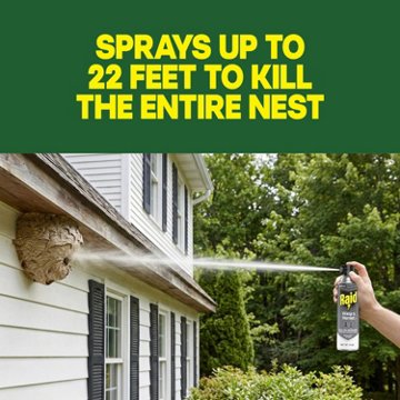 Raid Wasp & Hornet Killer 33, 2 pk