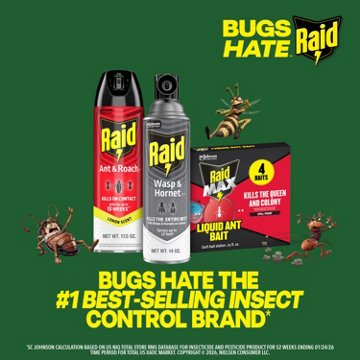 Raid Wasp & Hornet Killer 33, 2 pk