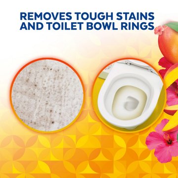 Lysol Brand New Day Toilet Bowl Cleaner, Gel Cleaner and Disinfectant, Mango and Hibiscus, 24 oz