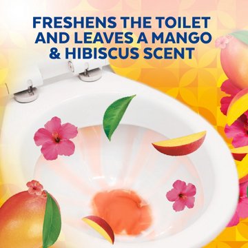 Lysol Brand New Day Toilet Bowl Cleaner, Gel Cleaner and Disinfectant, Mango and Hibiscus, 24 oz