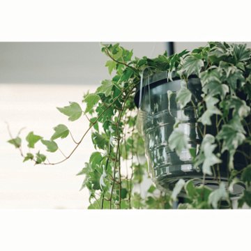 everspring Hanging Basket Drip Pan, 10"