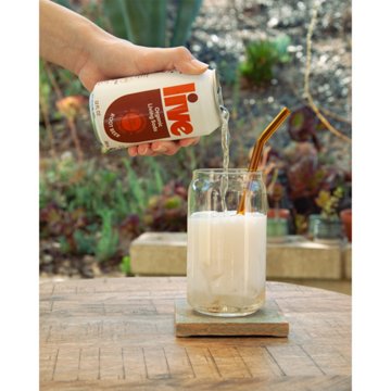 LIVE Soda Organic Probiotic Root Beer