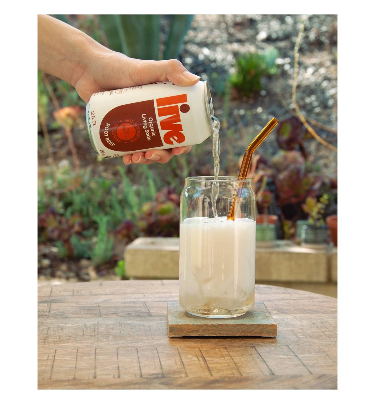 LIVE Soda Organic Probiotic Root Beer; image 3 of 5