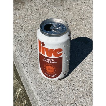 LIVE Soda Organic Probiotic Root Beer