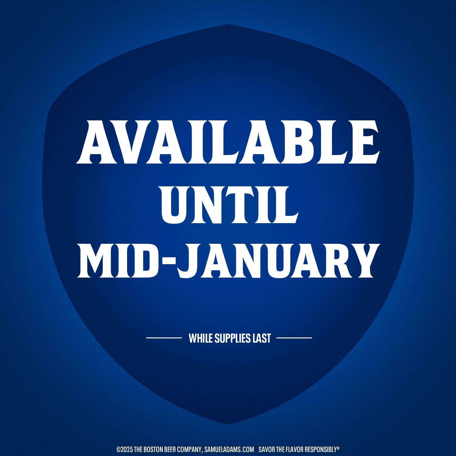 Samuel Adams Winter Break Variety Craft Beer 12 pk Cans - Shop