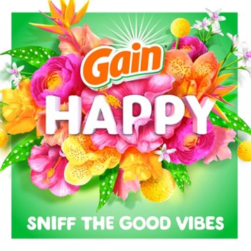 Gain Happy In-Wash Scent Booster Beads - Hibiscus Hula, 24 oz