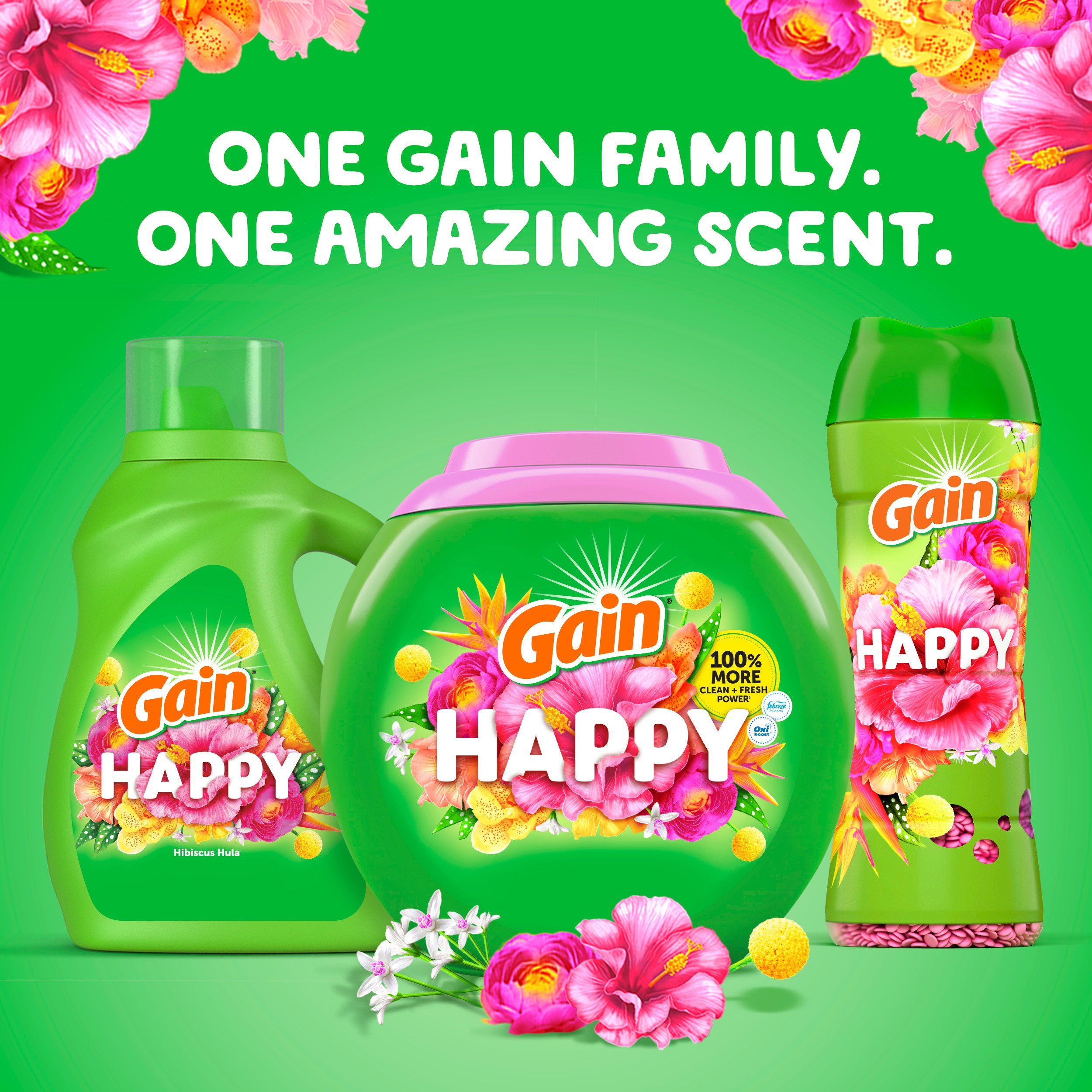 Gain Plus Happy Hibiscus 液体洗濯洗剤ジェルボール 3袋 Gain Happy In-Wash Scent Booster Beads - Hibiscus Hula - Shop