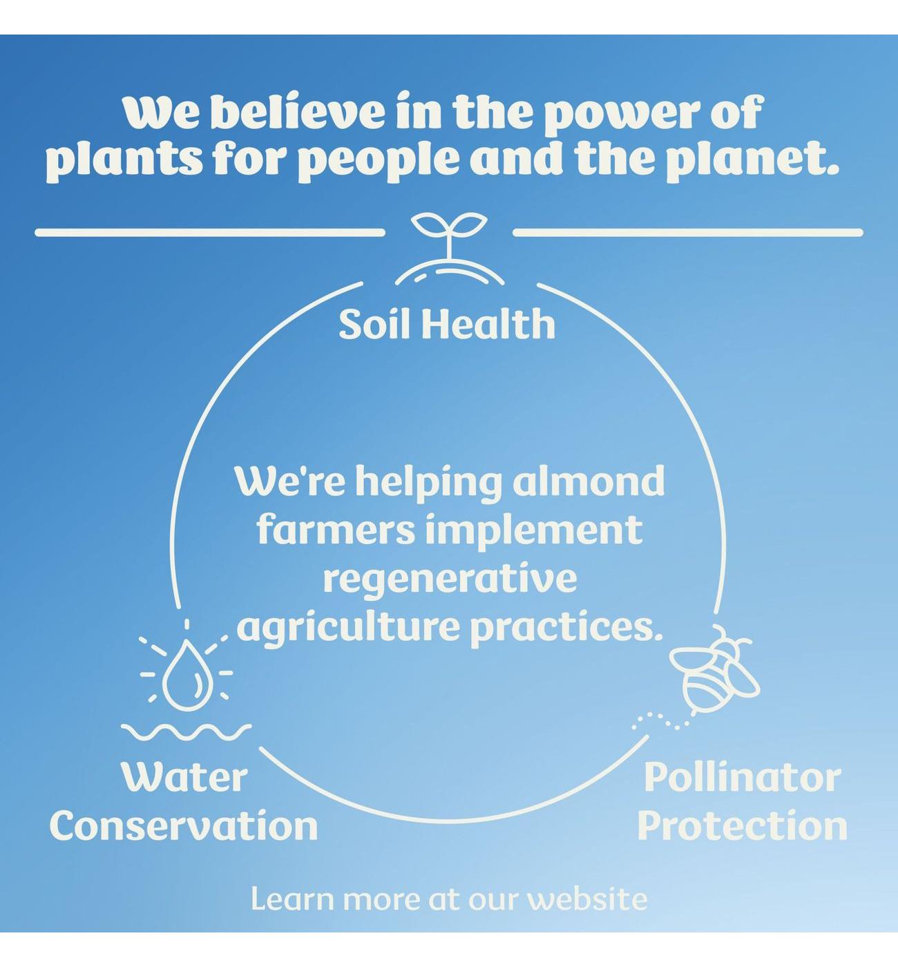 Silk Original Protein Almond Milk; image 5 of 8