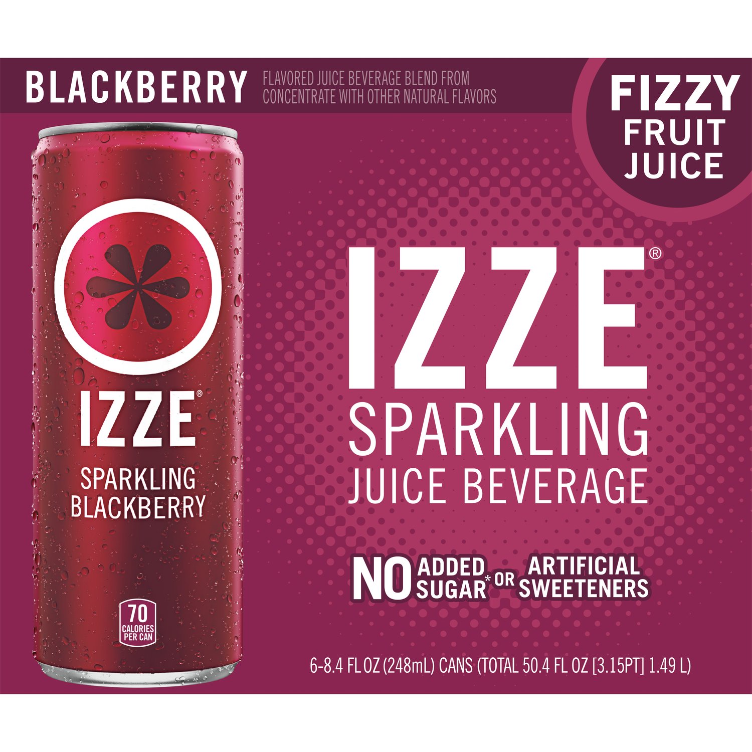 IZZE Izze Sparkling Juice Blackberry 6 pk Cans - Shop Soda at H-E-B