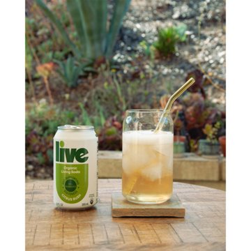 LIVE Soda Organic Probiotic Citrus Rush