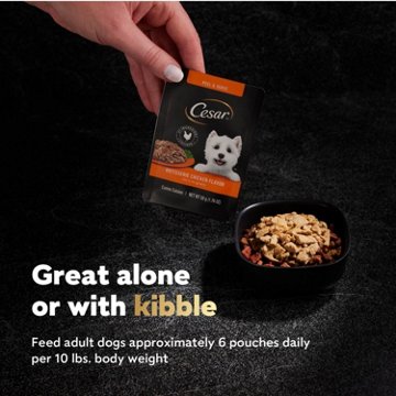 Cesar Filets in Gravy Wet Dog Food - Rotisserie Chicken Flavor