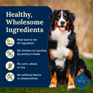 Blue Buffalo Delectables Wet Dog Food Toppers - Beef