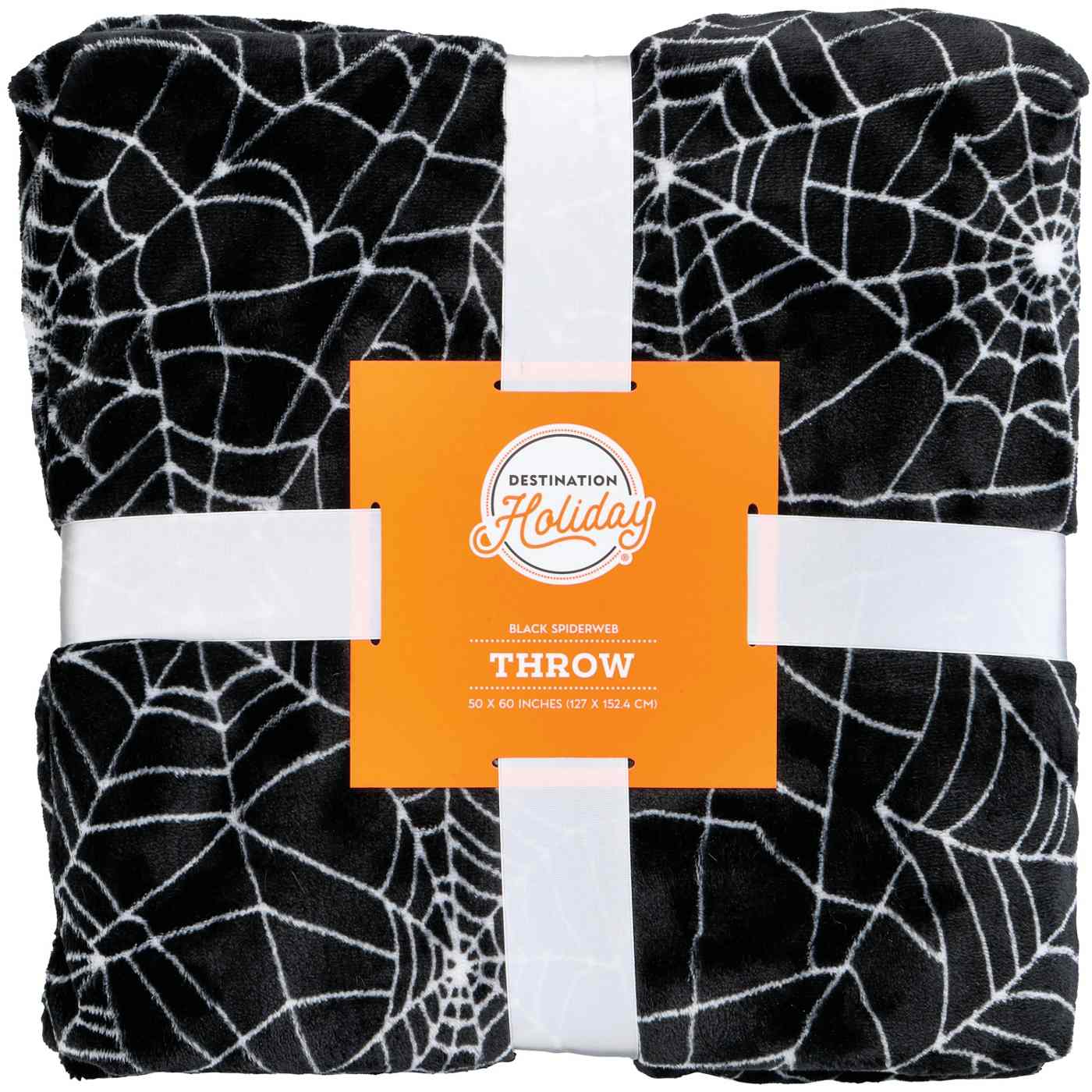 Destination Holiday Halloween Spider Web Throw Blanket - Black; image 1 of 3