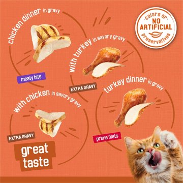 Friskies Purina Wet Cat Food Gravy Variety Pack - TurChicken Extra Gravy Chunky, Meaty Bits and Prime Filets