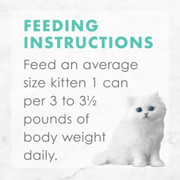 Fancy Feast Purina Tender Feasts Wet Kitten Food Variety Pack - Ocean Whitefish, Turkey, Chicken and Salmon