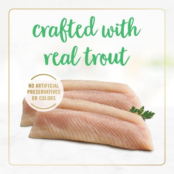 Fancy Feast Purina Wet Cat Food - Flaked Trout Feast