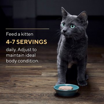 Sheba Perfect Portions Kitten Wet Cat Food Twin-Pack Tray