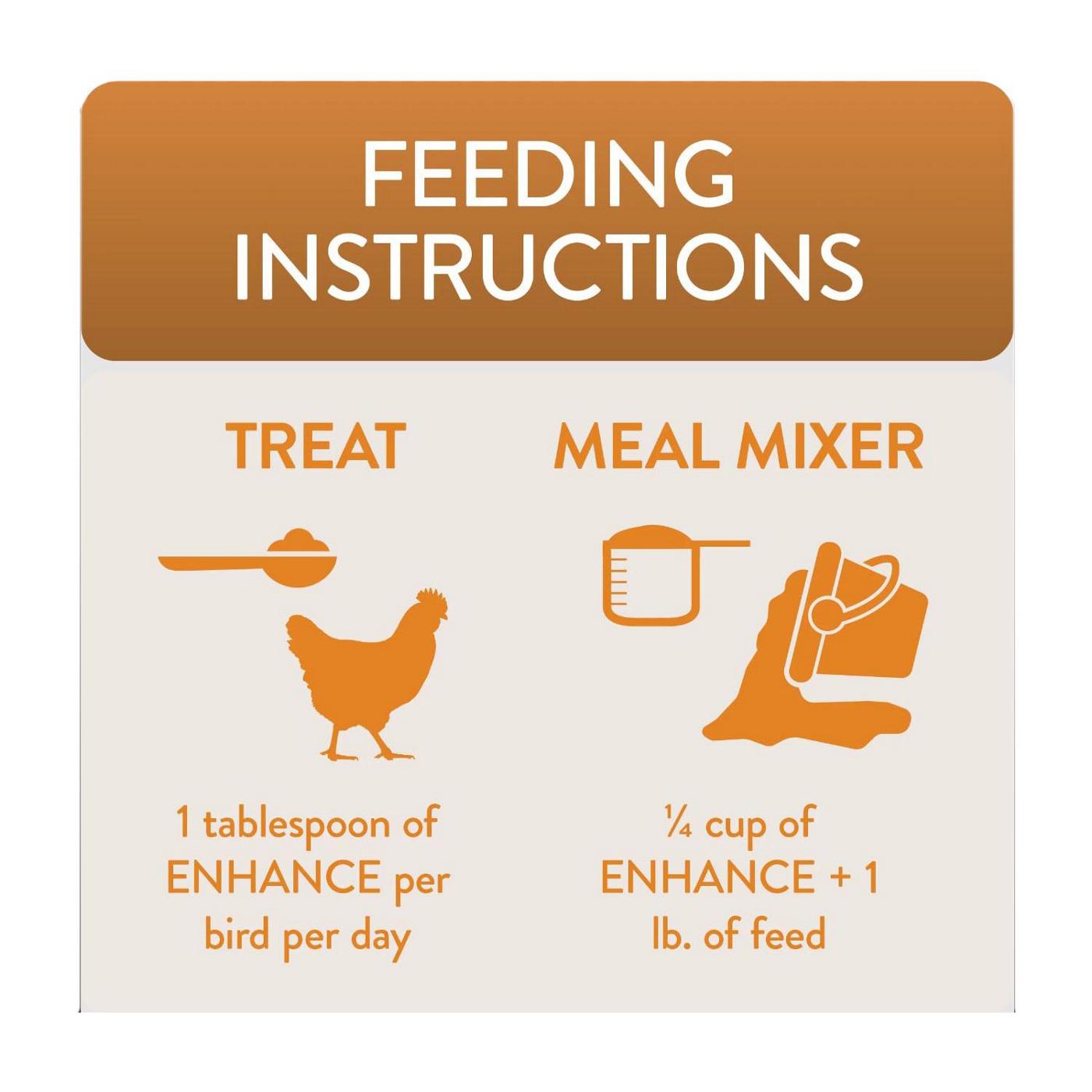 Flockleader Enhance Egg Production & Quality Poultry Treats; image 2 of 4