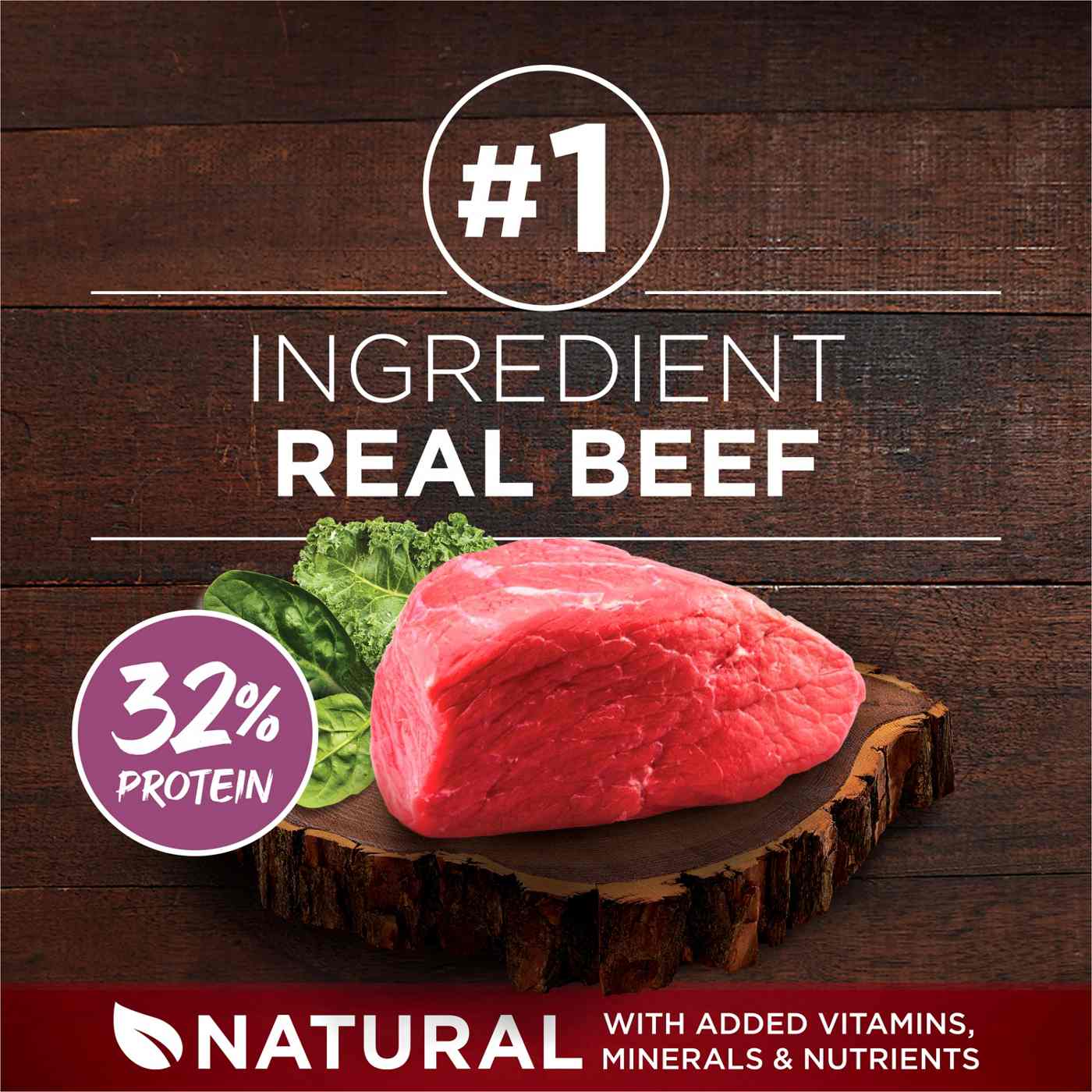 Purina ONE True Instinct Lean Muscle Support Natural High Protein Dog Food - Real Beef; image 7 of 8