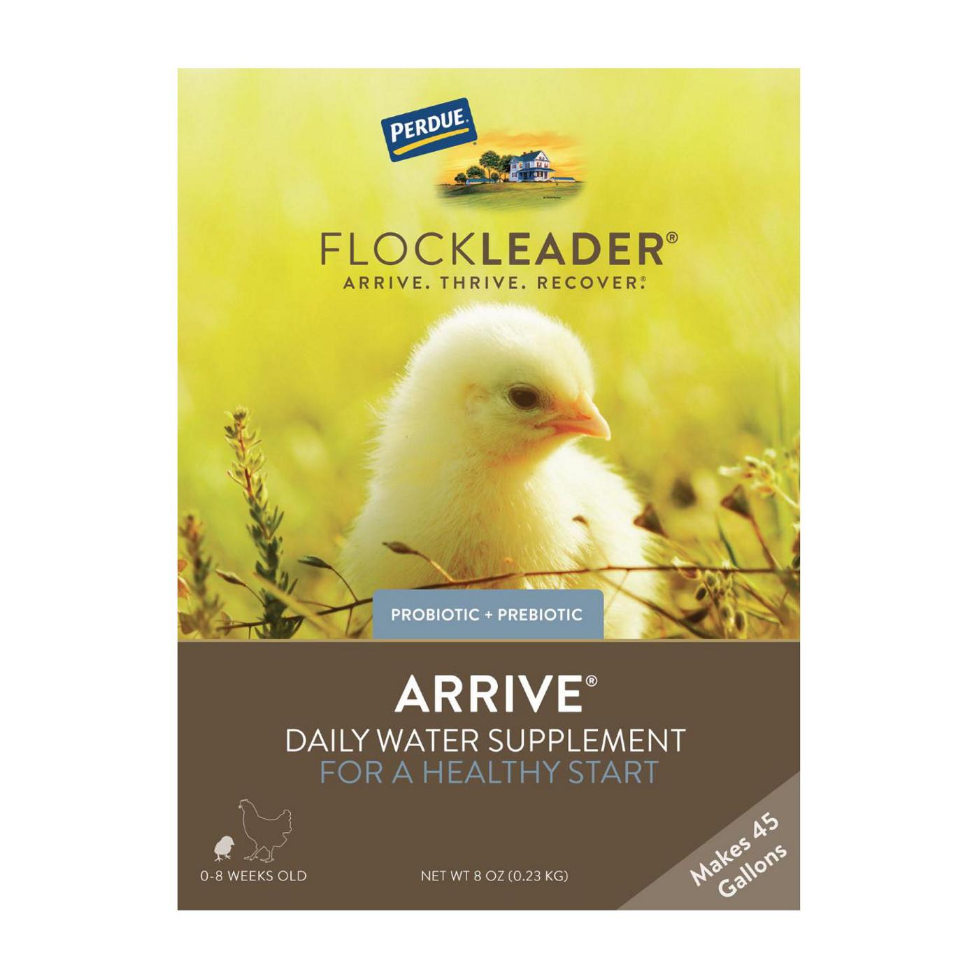 Flockleader Arrive Daily Water Supplement; image 1 of 3