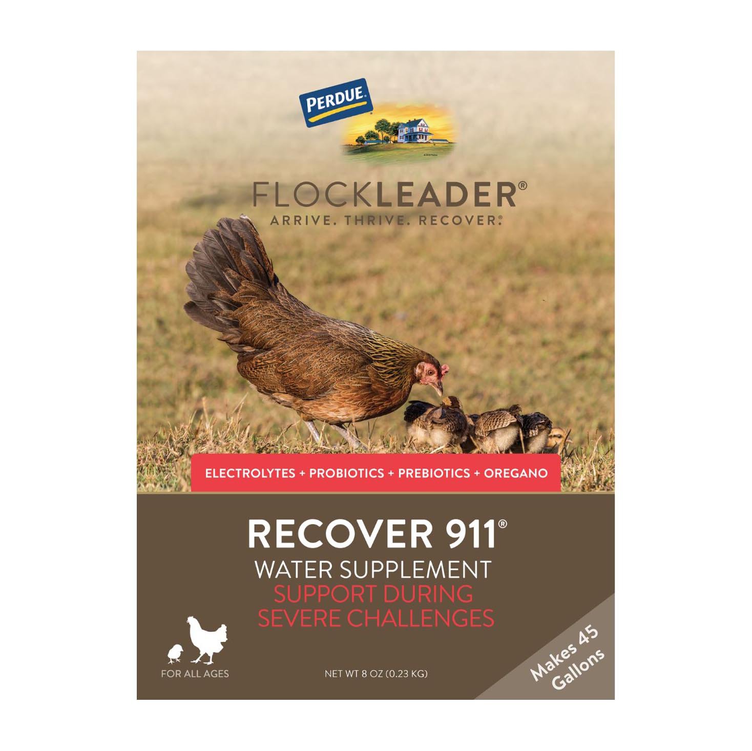 Flockleader Recover 911 Water Supplement - Shop Food at H-E-B
