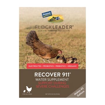 Flockleader Recover 911 Water Supplement, 8 oz