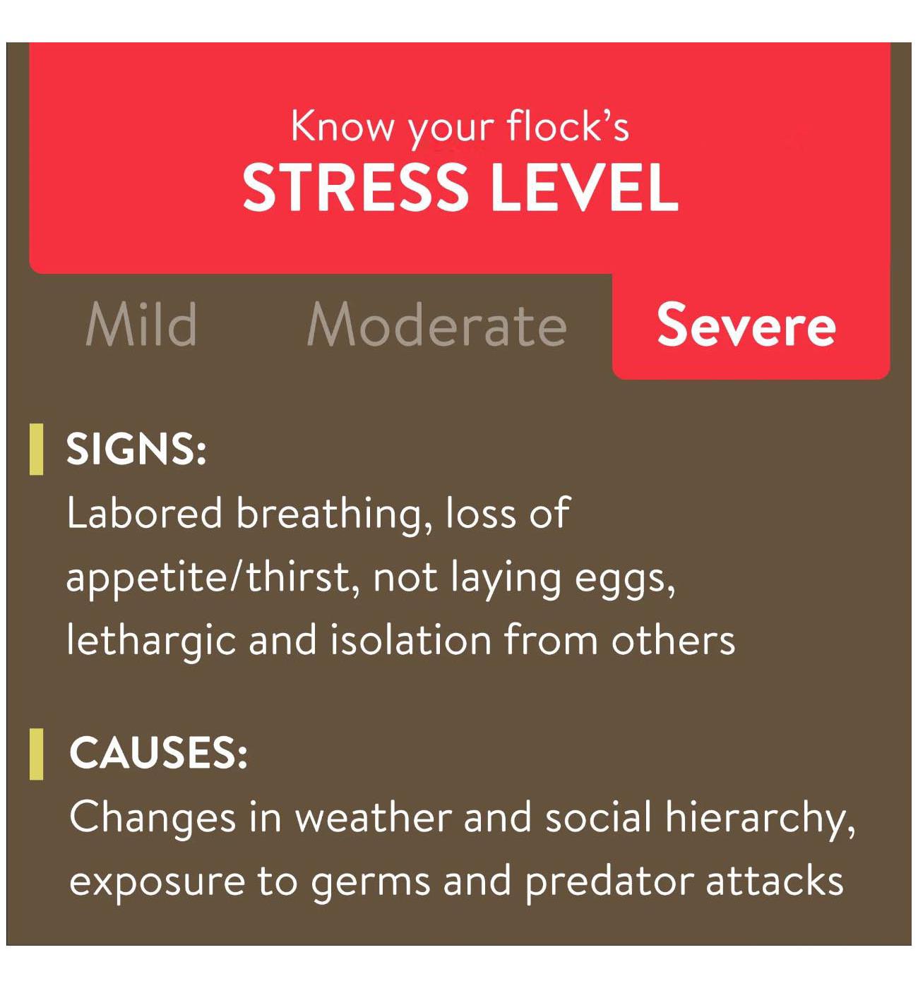 Flockleader Recover 911 Water Supplement; image 3 of 4