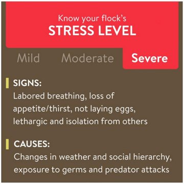 Flockleader Recover 911 Water Supplement, 8 oz