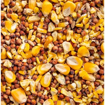 Thomas Moore 3 Grain Hen Scratch, 40 lb