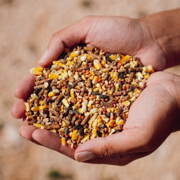 Thomas Moore Feed Thomas Moore Complete Layer Chicken Feed For Backyard Flock, 20 lbs