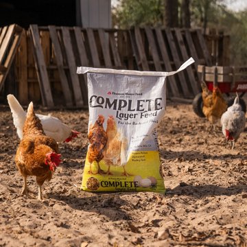 Thomas Moore Feed Thomas Moore Complete Layer Chicken Feed For Backyard Flock, 20 lbs