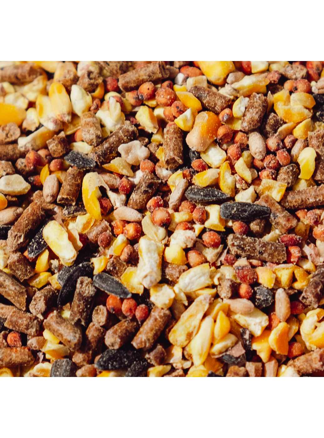 Thomas Moore Feed Thomas Moore Complete Layer Chicken Feed For Backyard Flock; image 4 of 7