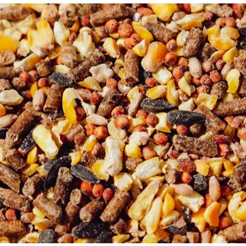 Thomas Moore Feed Thomas Moore Complete Layer Chicken Feed For Backyard Flock, 20 lbs